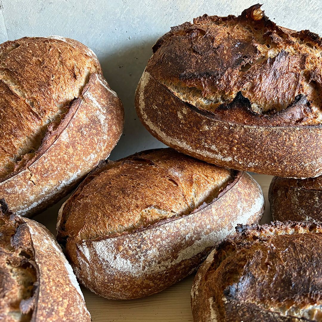 Krustenbrot von IL PANE FRESCO mit rustikaler, dunkel ausgebackener Kruste